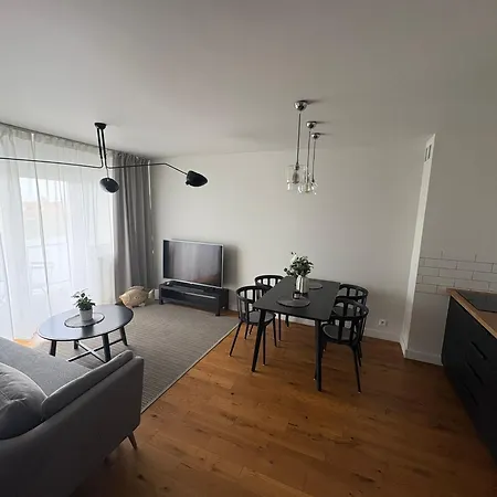 Tulip Chelmonskiego *