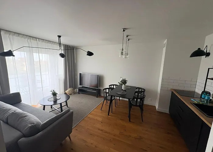 Tulip Chelmonskiego *